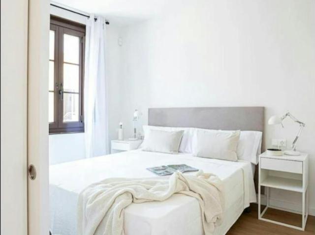 Alquiler 1 Dormitorio Apartamentos Barcelona Barcelona DS99686262