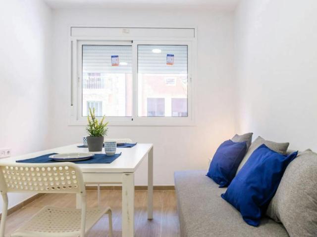 Alquiler 1 Dormitorio Apartamentos Barcelona Barcelona DS99691004