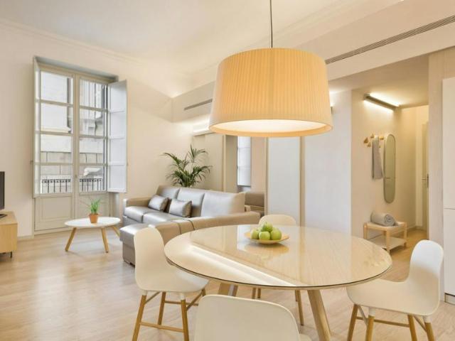 Alquiler 1 Dormitorio Apartamentos Barcelona Barcelona DS100766586