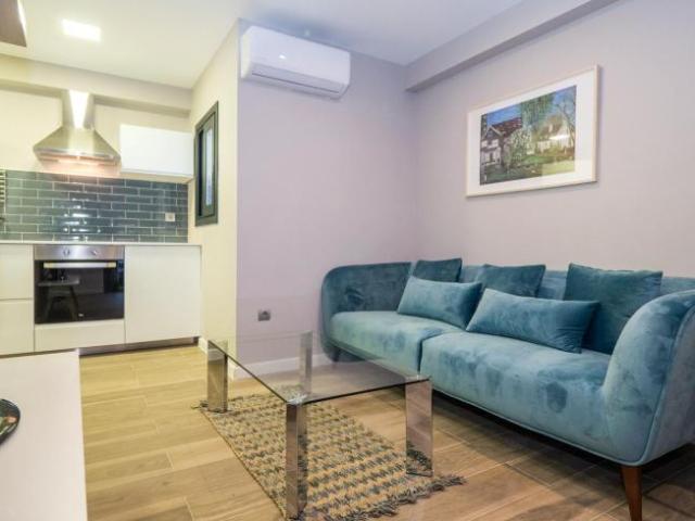 Alquiler 1 Dormitorio Apartamentos Barcelona Barcelona DS100945531