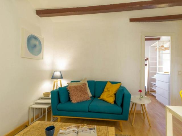 Alquiler 1 Dormitorio Apartamentos Barcelona Barcelona DS101407798