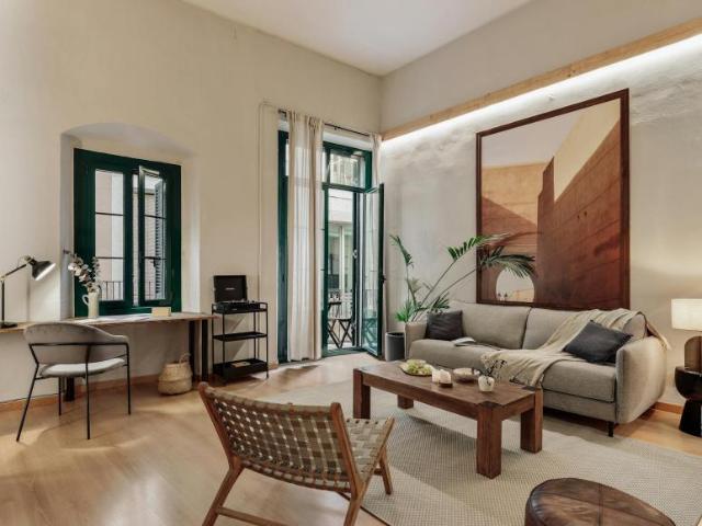 Alquiler 1 Dormitorio Apartamentos Barcelona Barcelona DS101409117