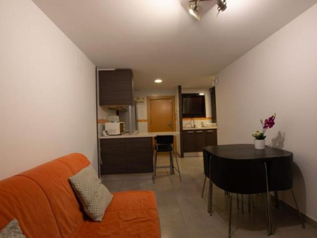 Alquiler 1 Dormitorio Apartamentos Barcelona Barcelona DS104721448