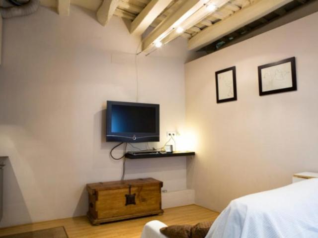 Alquiler 1 Dormitorio Apartamentos Barcelona Barcelona DS104721583