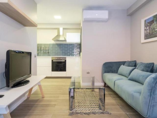 Alquiler 1 Dormitorio Apartamentos Barcelona Barcelona DS104754825
