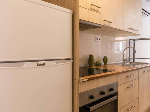 Alquiler 1 Dormitorio Apartamentos Barcelona Barcelona DS104797995