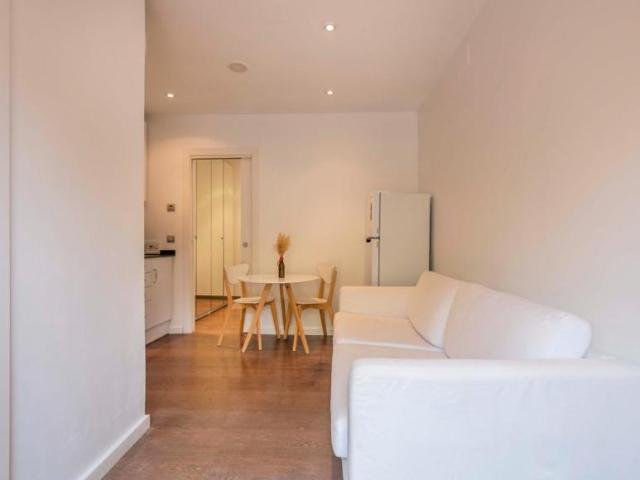 Alquiler 1 Dormitorio Apartamentos Barcelona Barcelona DS104925001
