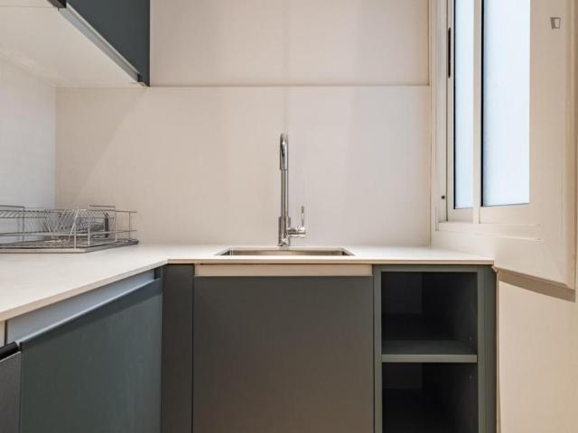 Alquiler 1 Dormitorio Apartamentos Barcelona Barcelona DS104928900
