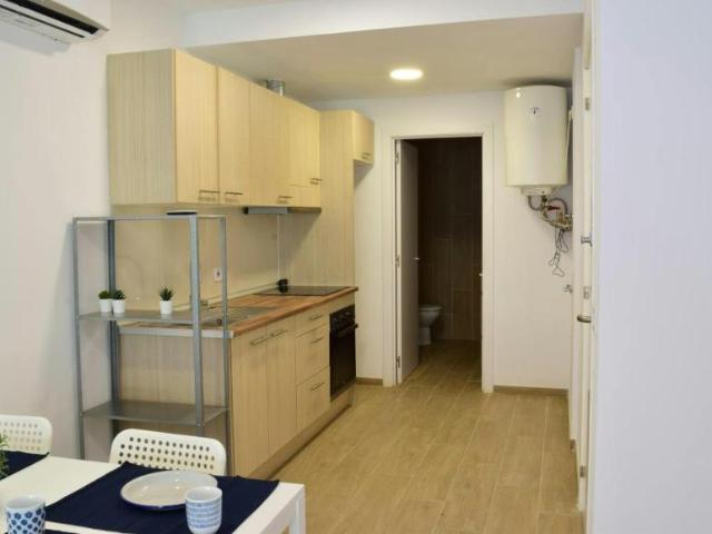 Alquiler 1 Dormitorio Apartamentos Barcelona Barcelona DS104941949