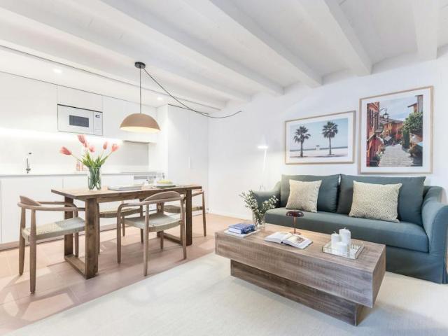 Alquiler 1 Dormitorio Apartamentos Barcelona Barcelona DS104002715