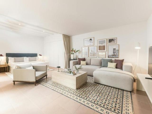 Alquiler 1 Dormitorio Apartamentos Barcelona Barcelona DS104002721