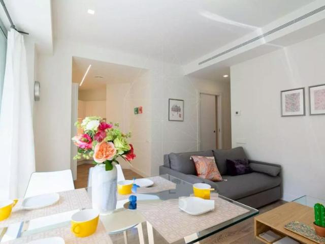 Alquiler 1 Dormitorio Apartamentos Barcelona Barcelona DS104003934