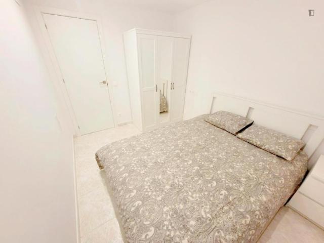 Alquiler 1 Dormitorio Apartamentos Barcelona Barcelona DS105565565