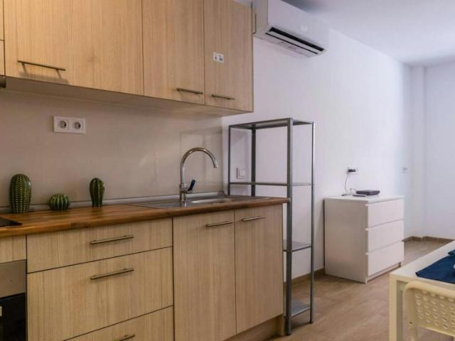 Alquiler 1 Dormitorio Apartamentos Barcelona Barcelona DS105761774