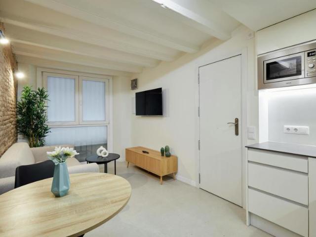 Alquiler 1 Dormitorio Apartamentos Barcelona Barcelona DS105009950