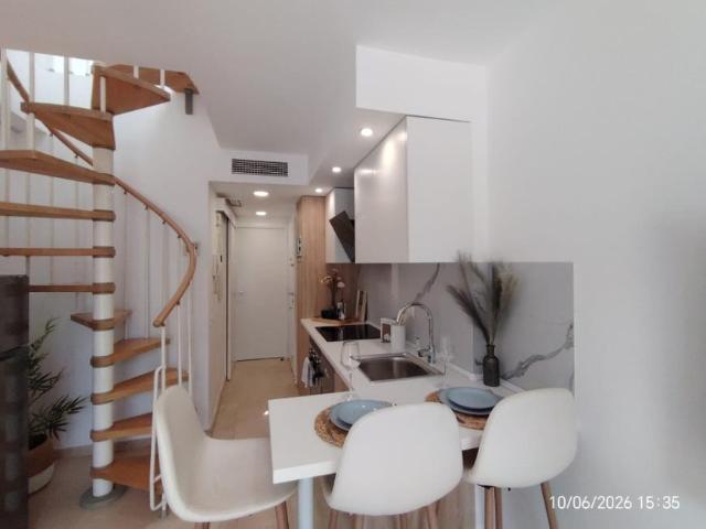 Alquiler 1 Dormitorio Apartamentos Benalmádena Benalmádena DS103244706