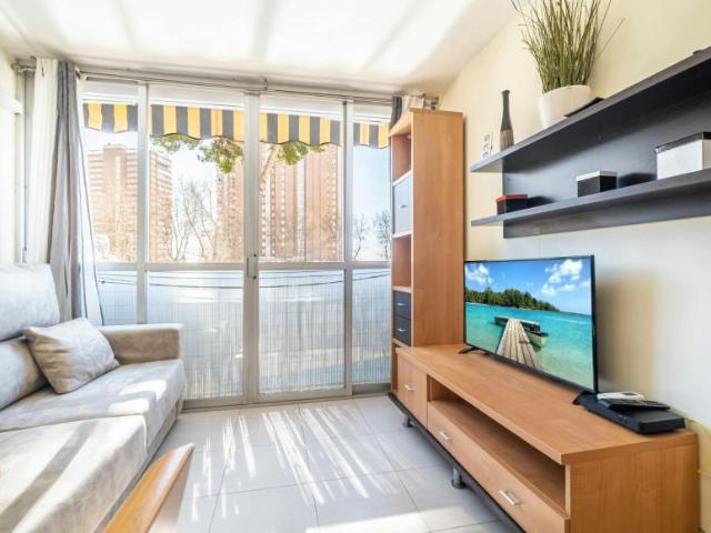 Alquiler 1 Dormitorio Apartamentos Benidorm Benidorm DS105005732