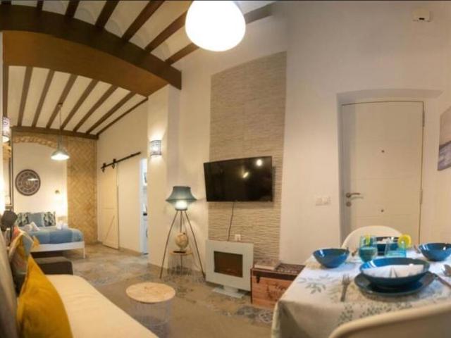 Alquiler 1 Dormitorio Apartamentos Cádiz Cádiz DS99383076