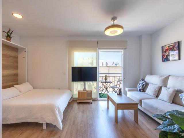 Alquiler 1 Dormitorio Apartamentos El Altet Elche Alicante El Altet Elche Alicante DS104257817