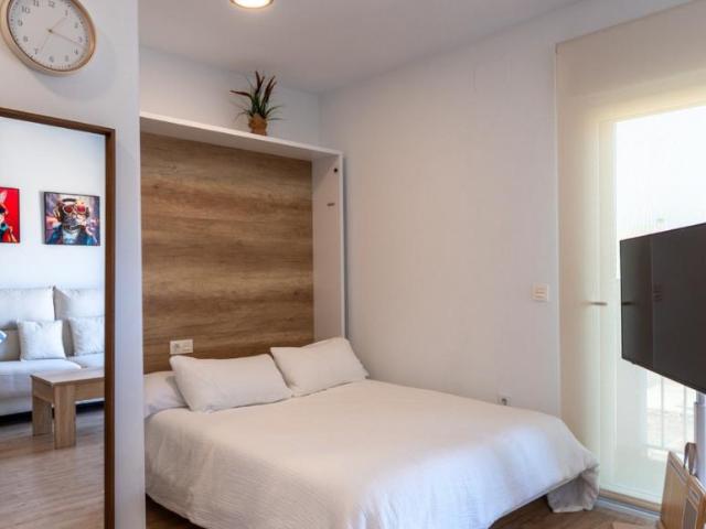 Alquiler 1 Dormitorio Apartamentos Elx Elx DS105251084