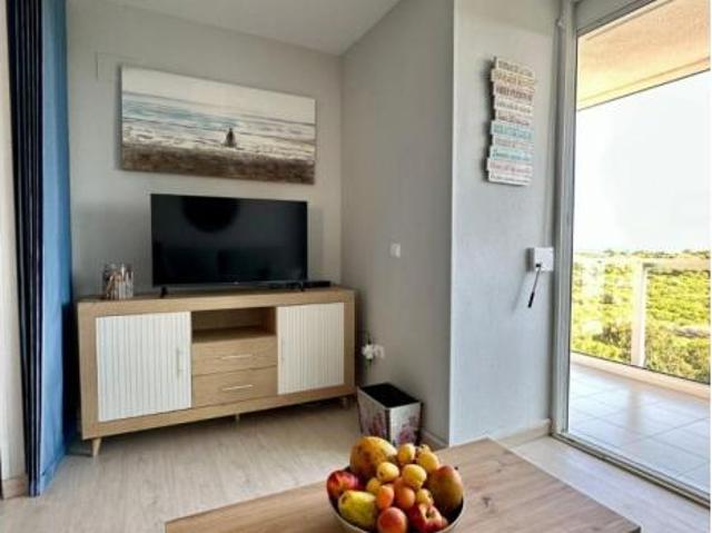 Alquiler 1 Dormitorio Apartamentos Guardamar Del Segura Alicante DS103696437