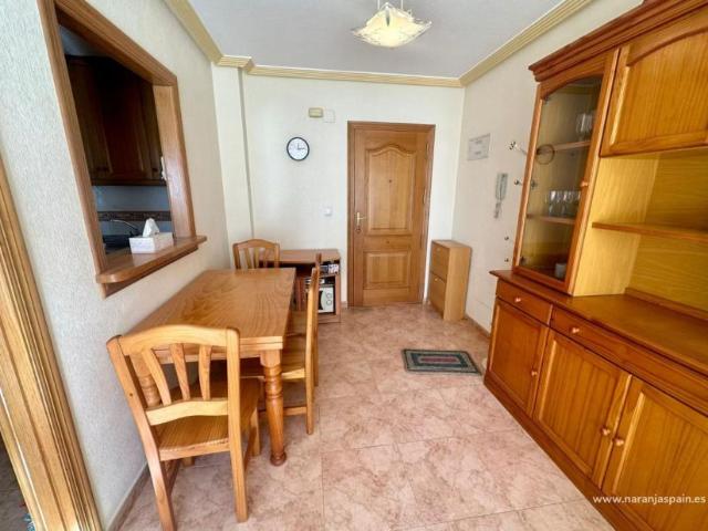 Alquiler 1 Dormitorio Apartamentos Guardamar Del Segura Alicante DS96657234