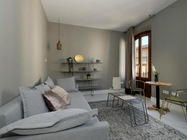Alquiler 1 Dormitorio Apartamentos Granada Granada DS102086436