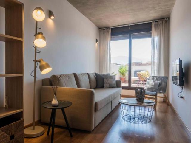 Alquiler 1 Dormitorio Apartamentos Granada Granada DS103336846