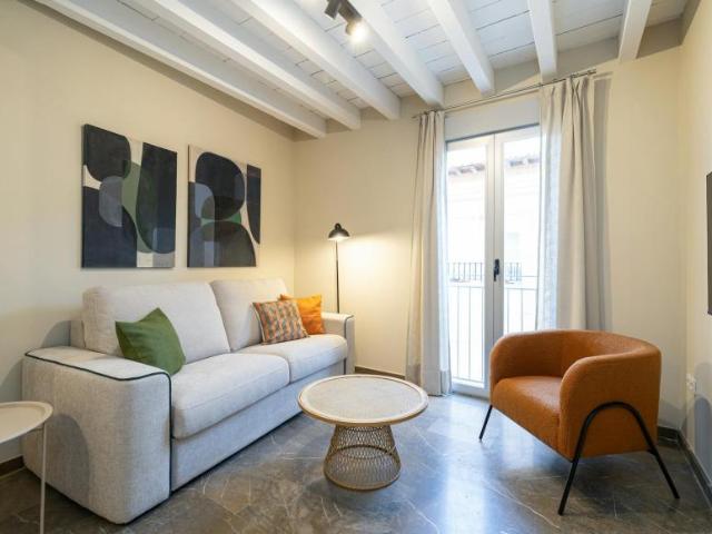 Alquiler 1 Dormitorio Apartamentos Granada Granada DS104825675