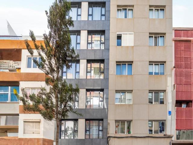 Alquiler 1 Dormitorio Apartamentos Las Palmas De Gran Canaria Las Palmas De Gran Canaria DS101085851