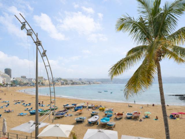 Alquiler 1 Dormitorio Apartamentos Las Palmas De Gran Canaria Las Palmas De Gran Canaria DS101946657
