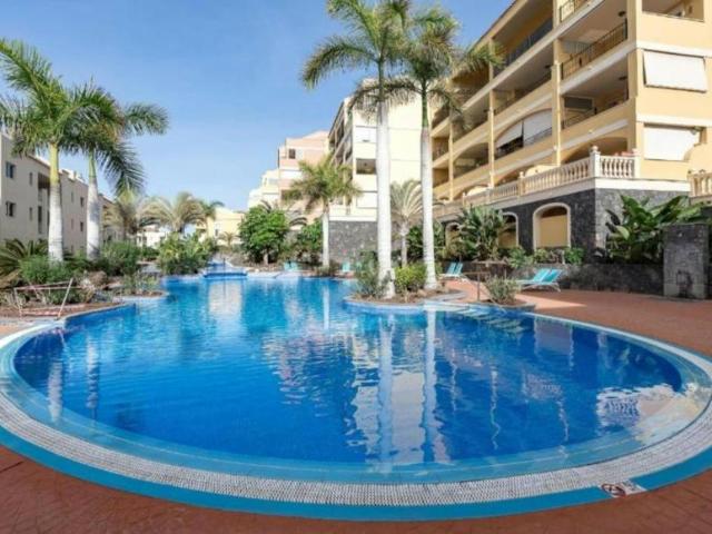 Alquiler 1 Dormitorio Apartamentos Palm Palm DS101370946
