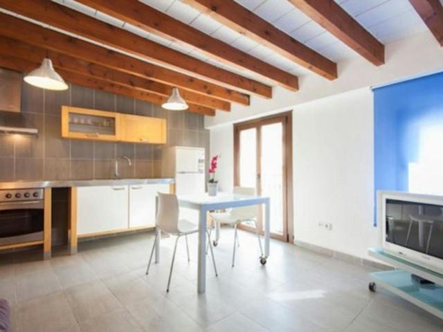 Alquiler 1 Dormitorio Apartamentos Palma Palma DLS102884716