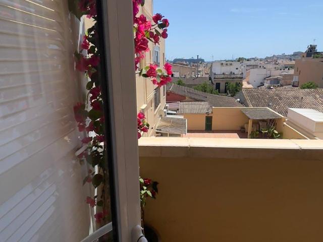 Alquiler 1 Dormitorio Apartamentos Palma Palma DS104842949