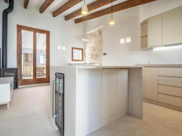 Alquiler 1 Dormitorio Apartamentos Palma Palma DS105009872