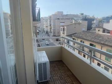 Alquiler 1 Dormitorio Apartamentos Palma Palma DS97633857