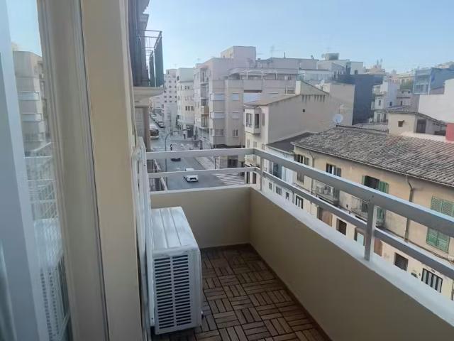 Alquiler 1 Dormitorio Apartamentos Palma Palma DS97633857