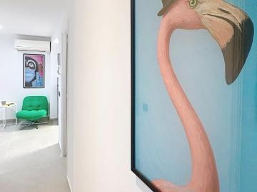 Alquiler 1 Dormitorio Apartamentos Palma Palma DS99745856