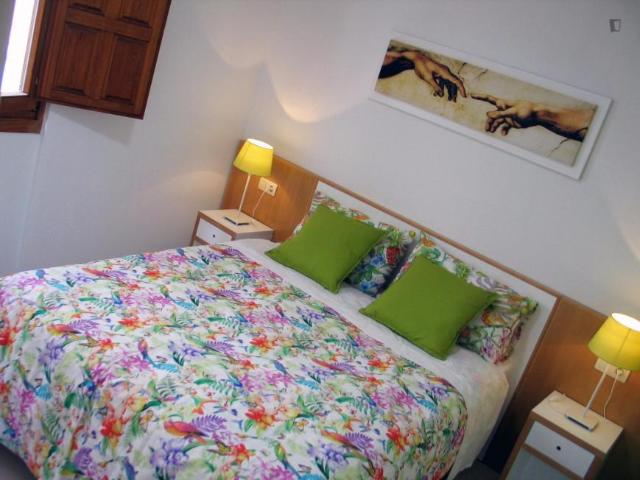 Alquiler 1 Dormitorio Apartamentos Salamanca Salamanca DS103285487