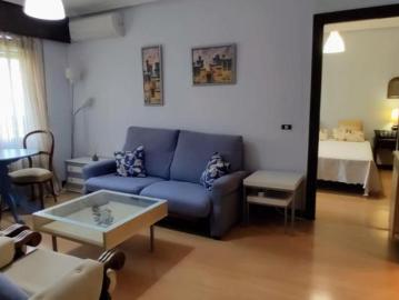 Alquiler 1 Dormitorio Apartamentos Salamanca Salamanca DS103308001