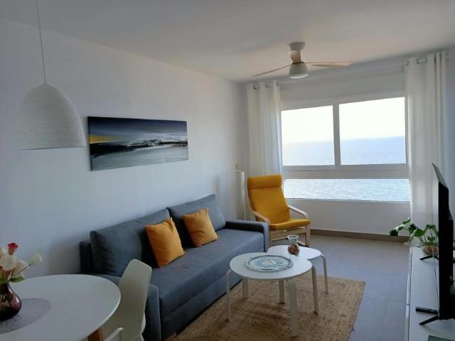 Alquiler 1 Dormitorio Apartamentos San Javier San Javier DS102717372