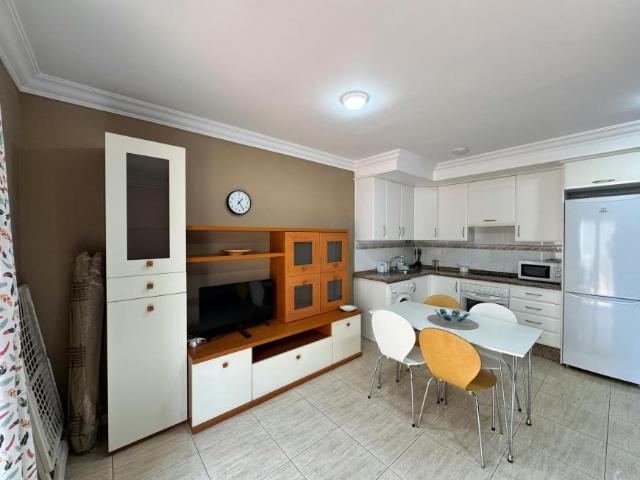 Alquiler 1 Dormitorio Apartamentos Santa Cruz De Tenerife Santa Cruz De Tenerife DS104435595