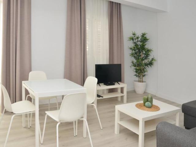 Alquiler 1 Dormitorio Apartamentos Santa Cruz De Tenerife Santa Cruz De Tenerife DS104507428