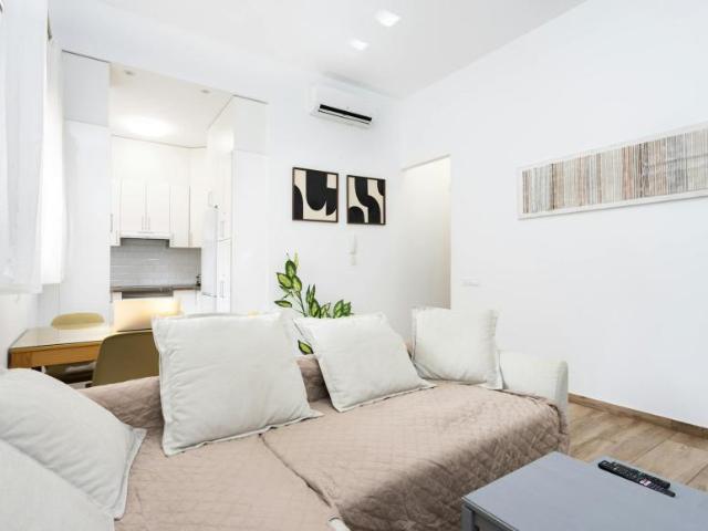Alquiler 1 Dormitorio Apartamentos Santa Cruz De Tenerife Santa Cruz De Tenerife DS104754248