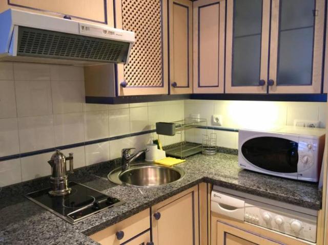 Alquiler 1 Dormitorio Apartamentos Sevilla Sevilla DS103359030