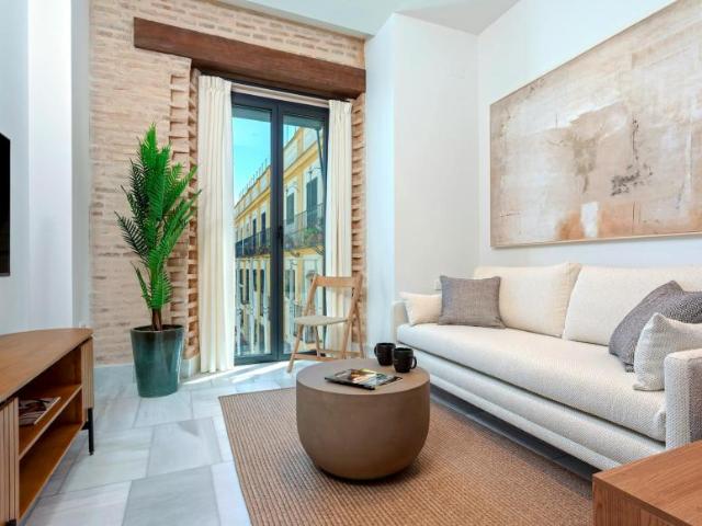Alquiler 1 Dormitorio Apartamentos Sevilla Sevilla DS104002990