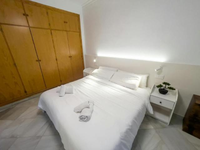 Alquiler 1 Dormitorio Apartamentos Sevilla Sevilla DS104324993