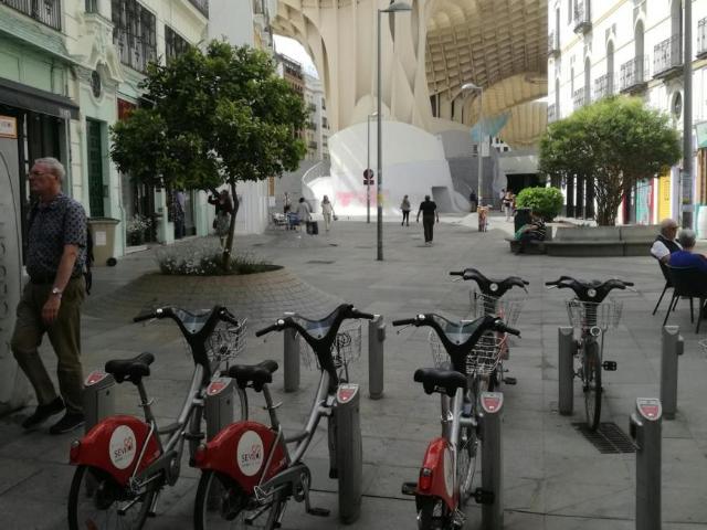 Alquiler 1 Dormitorio Apartamentos Sevilla Sevilla DS104784268