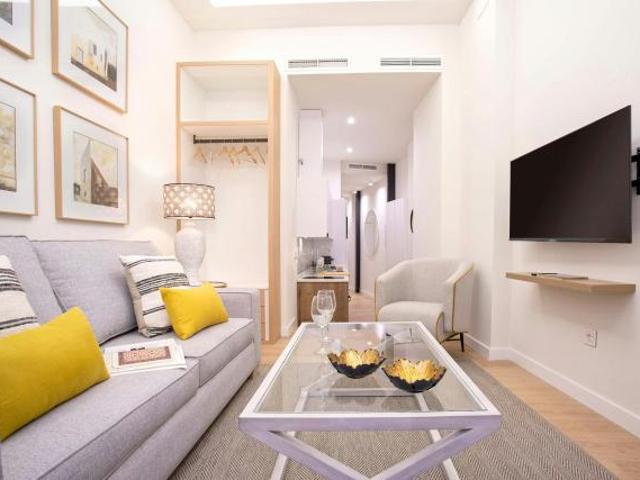 Alquiler 1 Dormitorio Apartamentos Sevilla Sevilla DS85281494