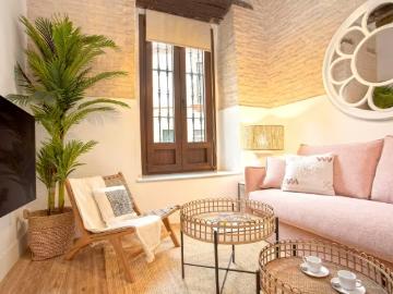 Alquiler 1 Dormitorio Apartamentos Sevilla Sevilla DS96345669